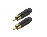 ROXTONE RF2P-BG (set)