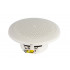 CVGAUDIO WT58W
