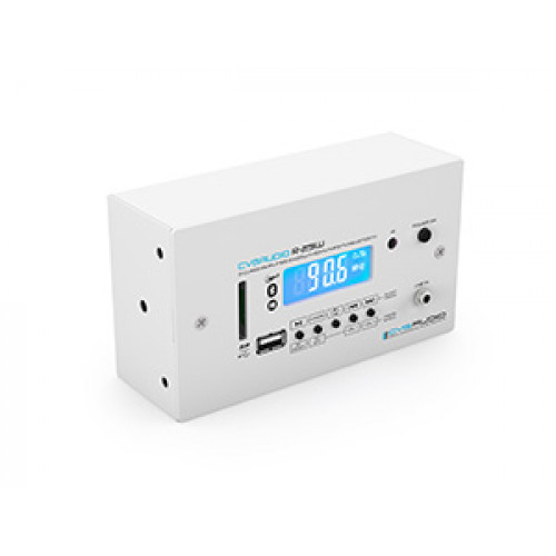 CVGAUDIO R-25W CVGAUDIO R-25W
