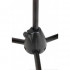 PROEL PRO100