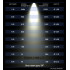STAGE4 Q-PAR LC-7