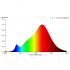 STAGE4 SunRay-10