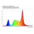 IMLIGHT LTL COLOR FL 24