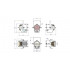 SILVER STAR SS826TW FREZNO 250 TW SILVER STAR SS826TW FREZNO 250 TW