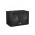 Wharfedale Pro EVP-X218B MKII Wharfedale Pro EVP-X218B MKII