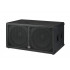 Wharfedale Pro DELTA X218B