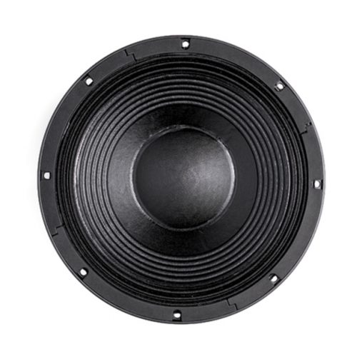 B&C Speakers 12TBX100 B&C Speakers 12TBX100