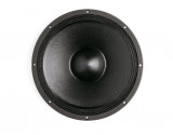 B&C Speakers 15PL100
