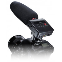 TASCAM DR-10SG