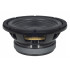 B&C Speakers 12FG100