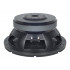 B&C Speakers 12FG100